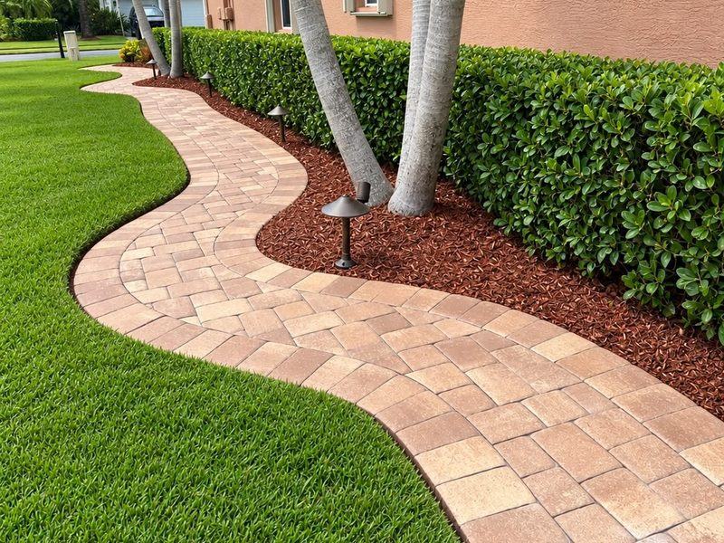 The same walkway after — pavers cleared, hedge shaped and beds re-mulched