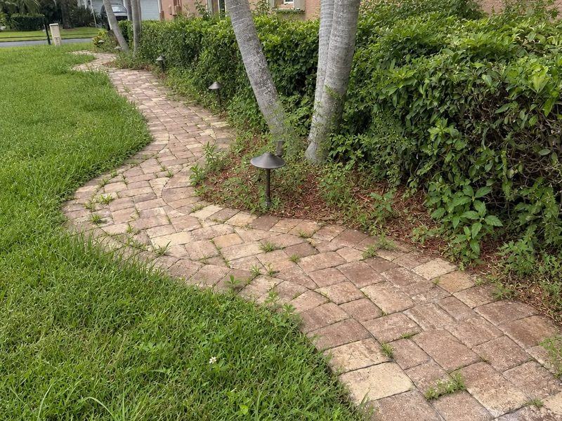 Front walkway before — weeds growing through the pavers and an overgrown hedge line