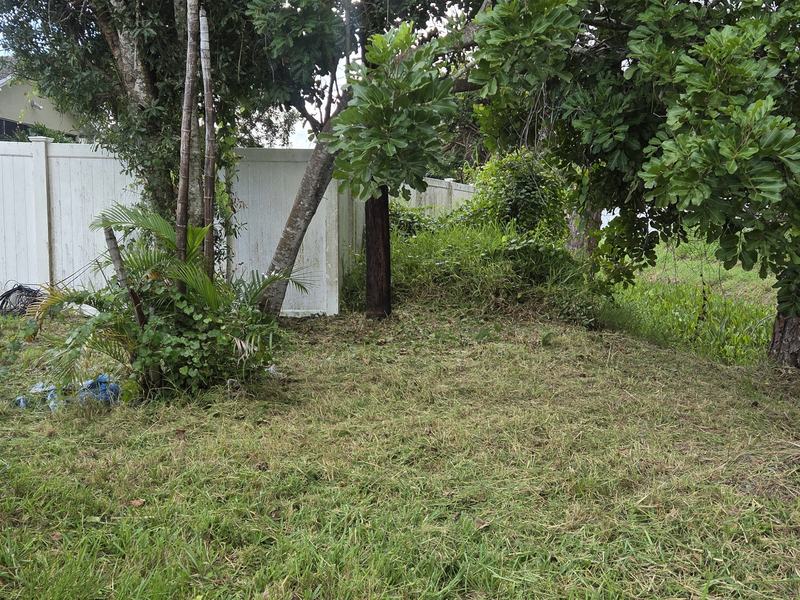 The same area after — cut down, cleared out and back under control